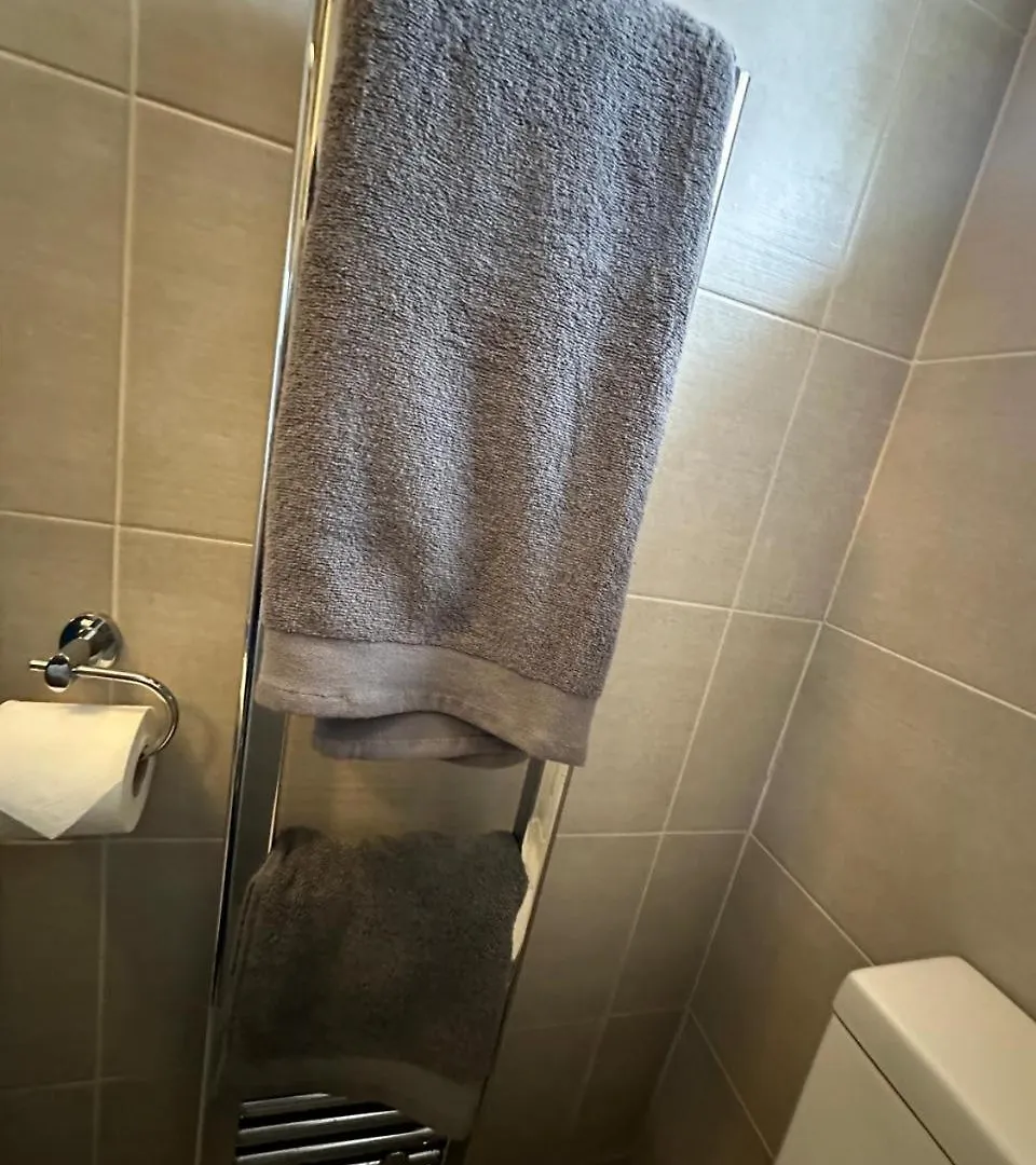 Large Studio With Extra Sofa Bed And Private Bath Plus Kitchen Canary Wharf 1 Apartment London